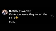 Instagram comment (Image via collegefessing)